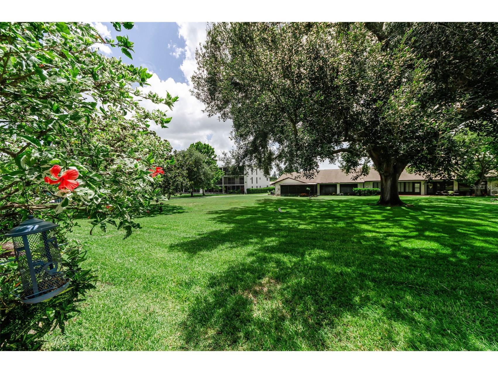 1500 Heather Ridge Boulevard #106 Dunedin FL 34698 TB8532302 image50
