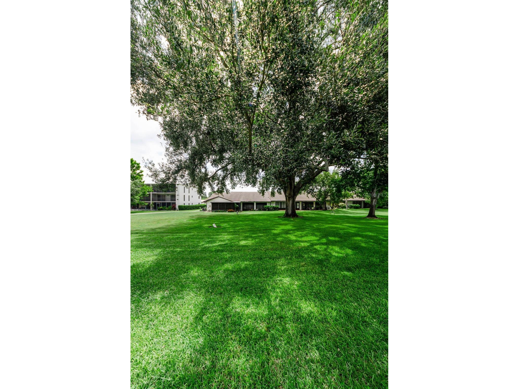 1500 Heather Ridge Boulevard #106 Dunedin FL 34698 TB8532302 image51
