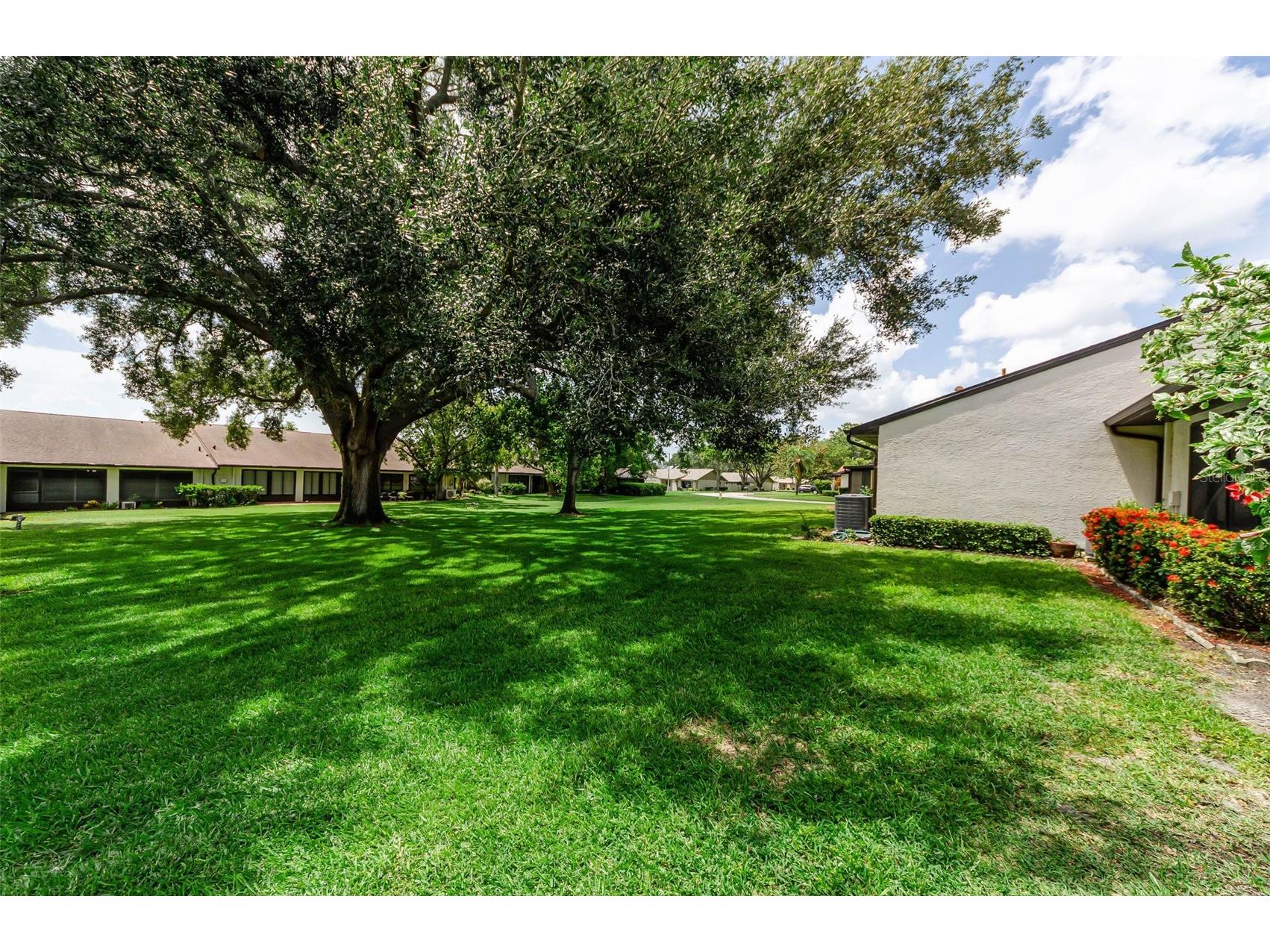 1500 Heather Ridge Boulevard #106 Dunedin FL 34698 TB8532302 image52