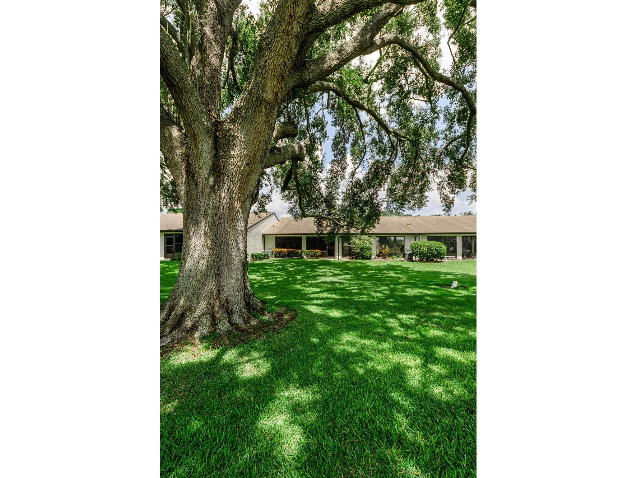 1500 Heather Ridge Boulevard #106 Dunedin FL 34698 TB8532302 image55