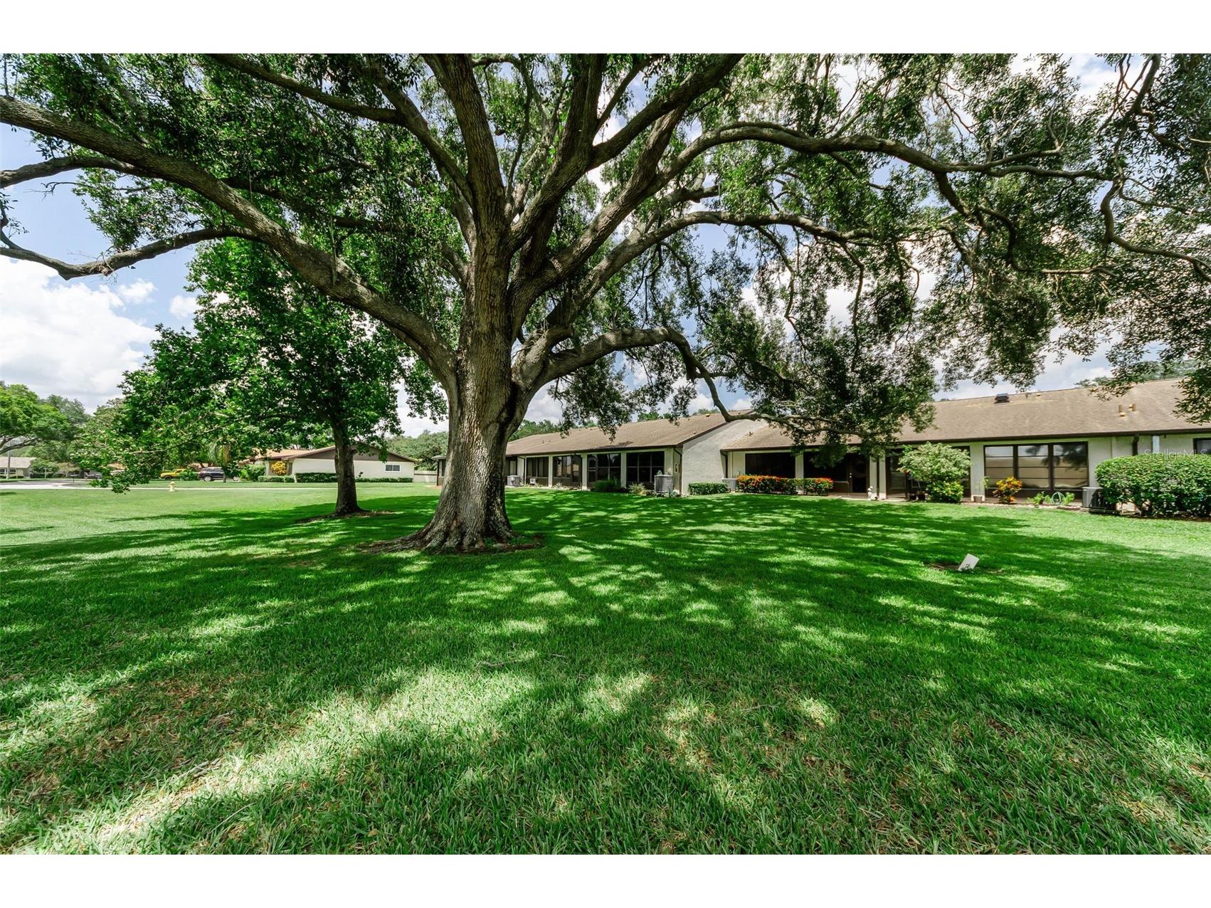 1500 Heather Ridge Boulevard #106 Dunedin FL 34698 TB8532302 image56
