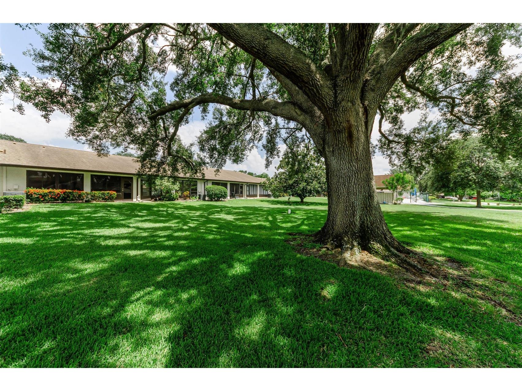 1500 Heather Ridge Boulevard #106 Dunedin FL 34698 TB8532302 image57