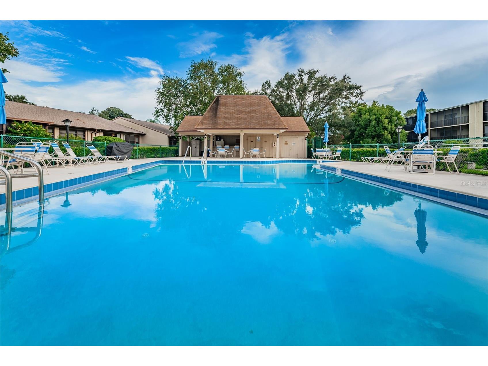 1500 Heather Ridge Boulevard #106 Dunedin FL 34698 TB8532302 image62