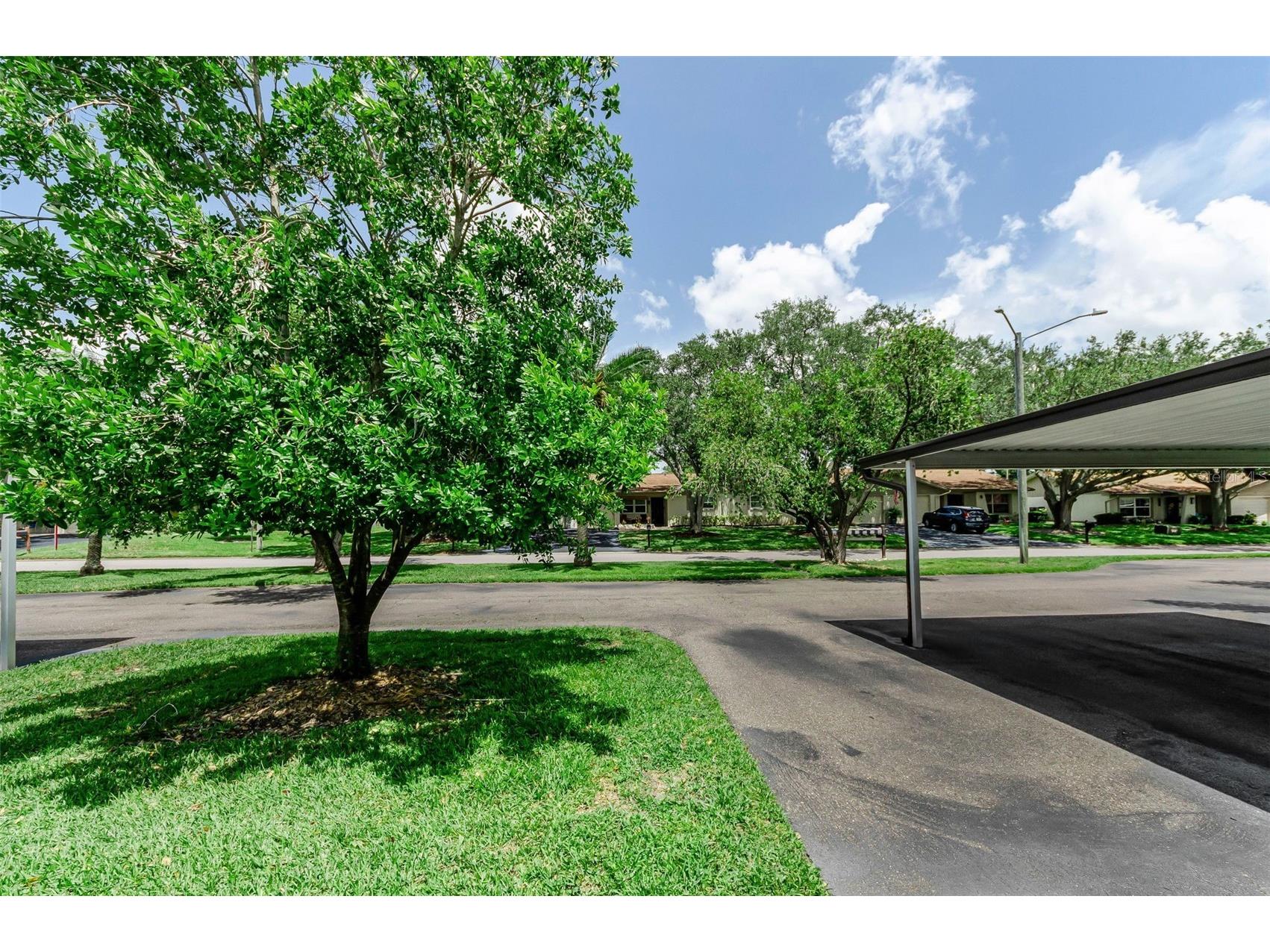 1500 Heather Ridge Boulevard #106 Dunedin FL 34698 TB8532302 image7