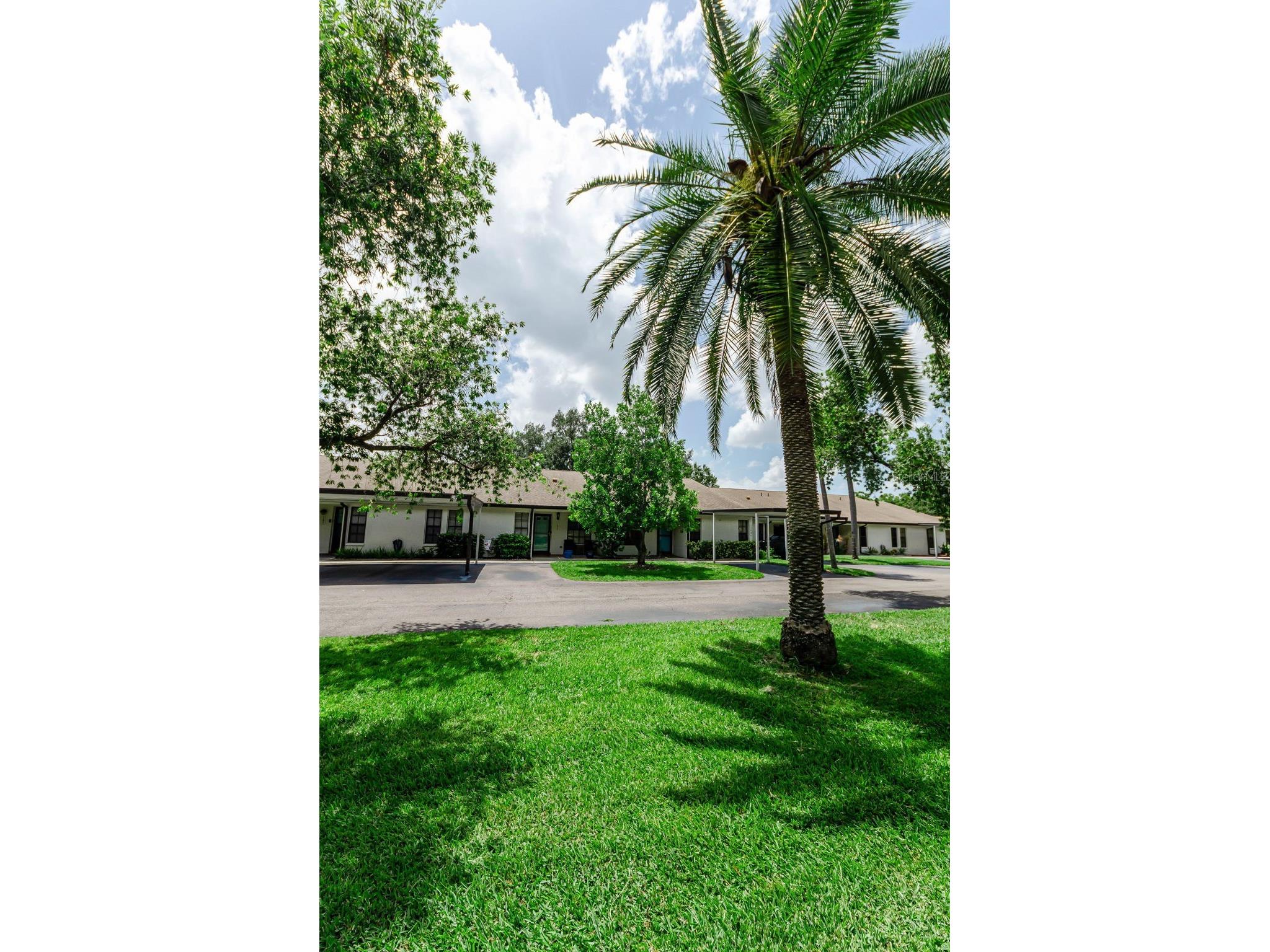 1500 Heather Ridge Boulevard #106 Dunedin FL 34698 TB8532302 image8