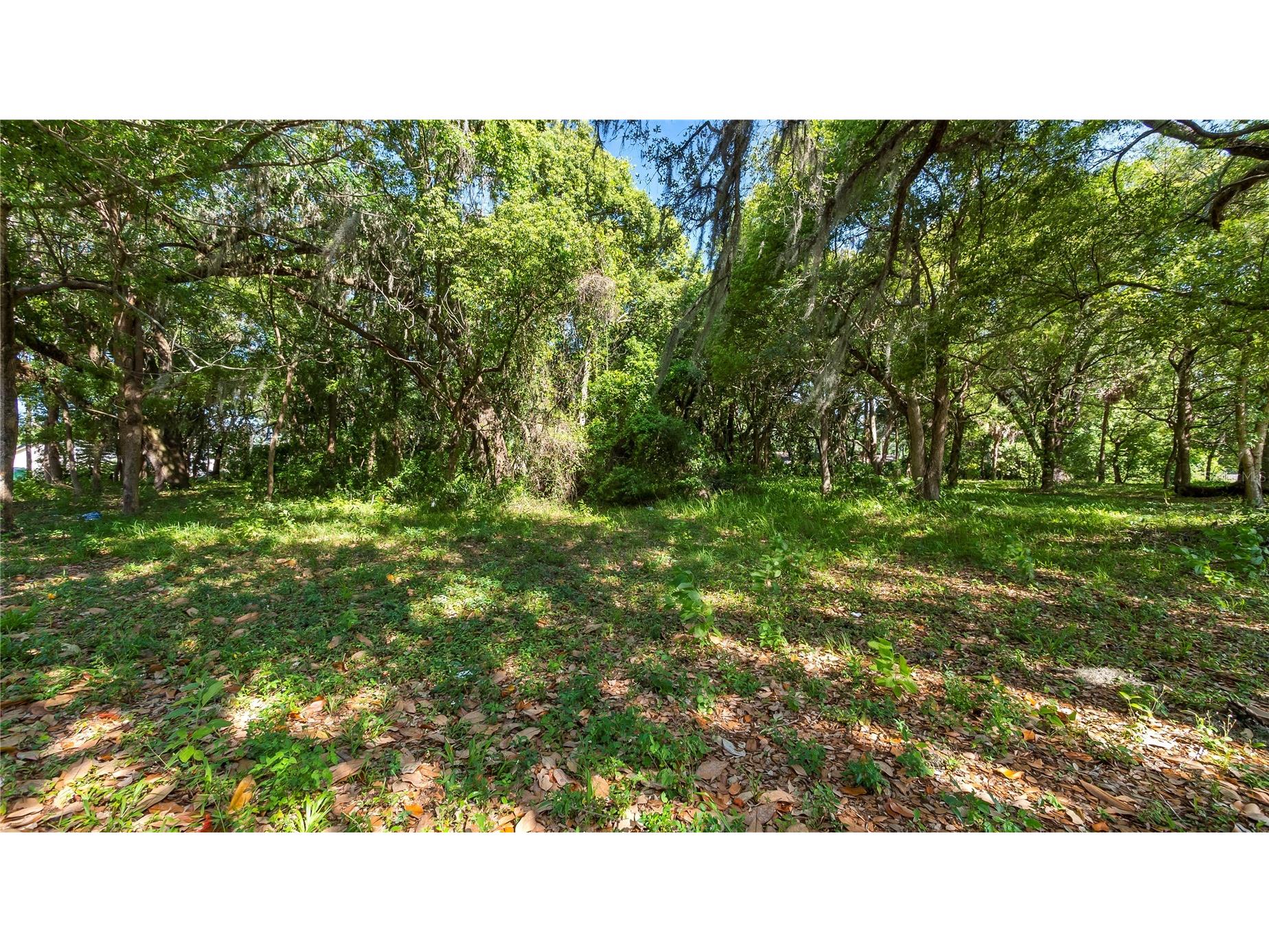 1500 N Hoagland Boulevard Kissimmee FL 34741 O6386758 image19
