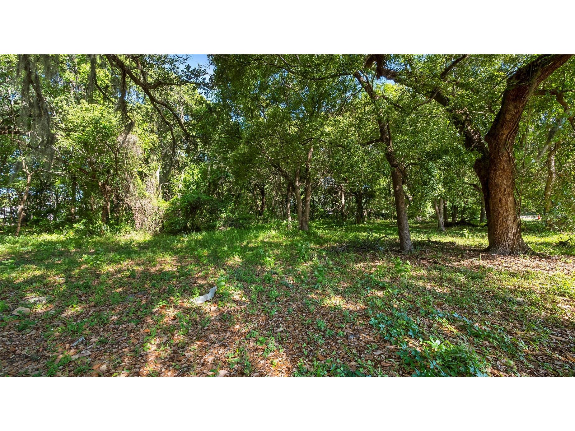 1500 N Hoagland Boulevard Kissimmee FL 34741 O6386758 image20