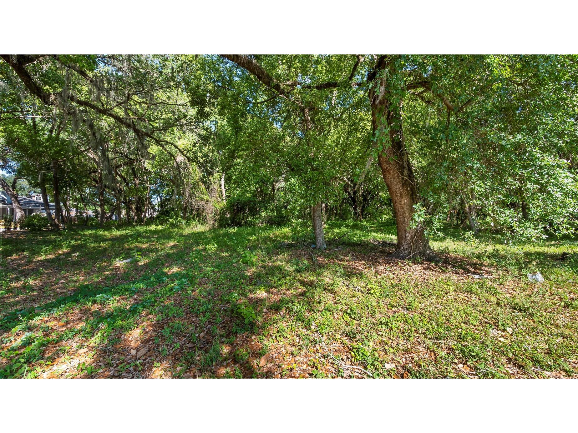1500 N Hoagland Boulevard Kissimmee FL 34741 O6386758 image21