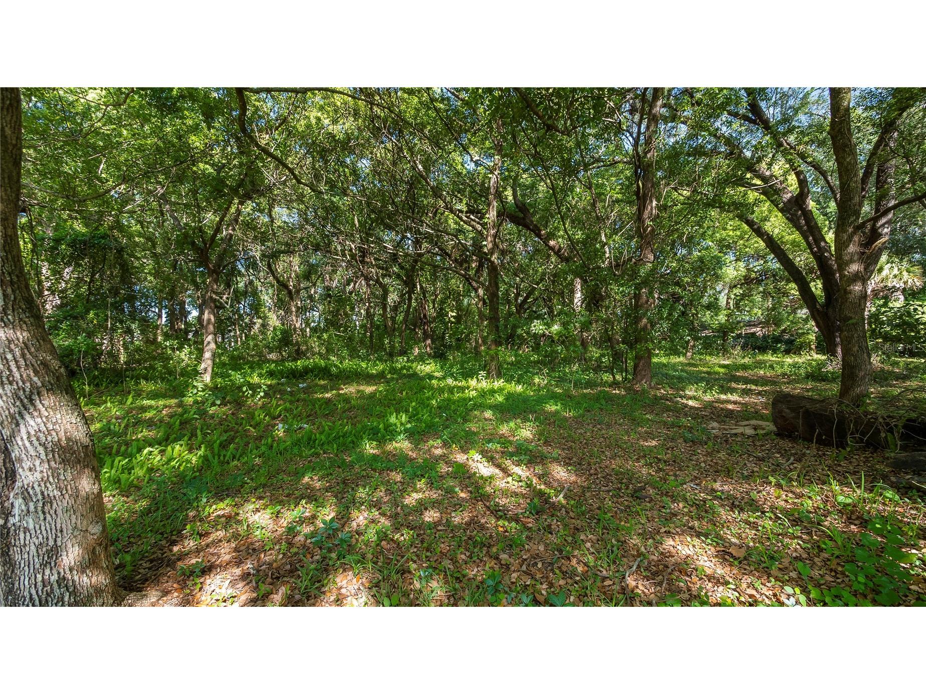 1500 N Hoagland Boulevard Kissimmee FL 34741 O6386758 image22