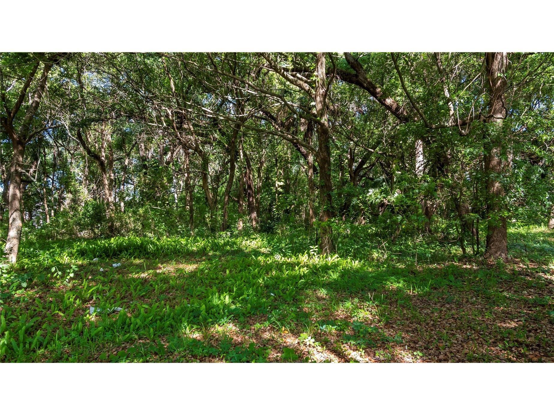 1500 N Hoagland Boulevard Kissimmee FL 34741 O6386758 image23