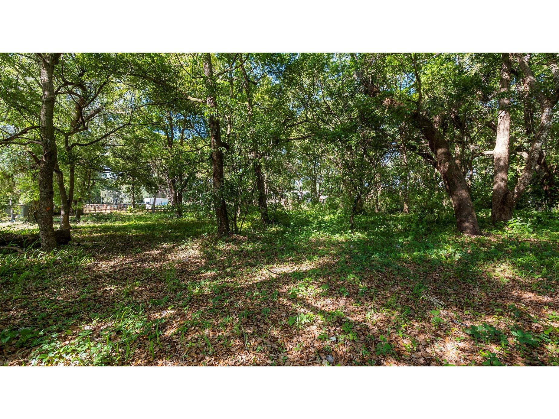1500 N Hoagland Boulevard Kissimmee FL 34741 O6386758 image24