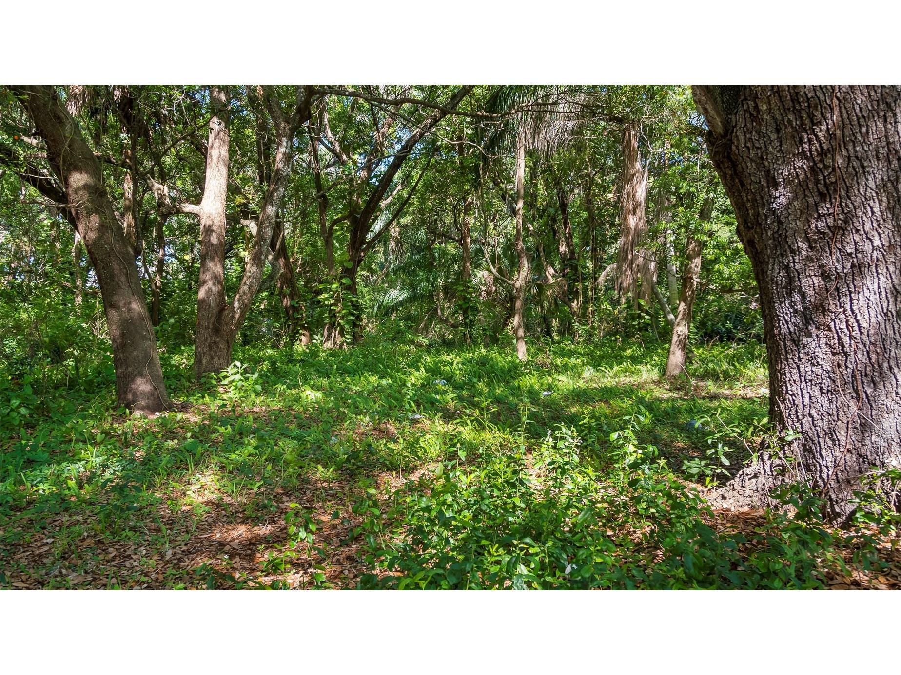 1500 N Hoagland Boulevard Kissimmee FL 34741 O6386758 image25
