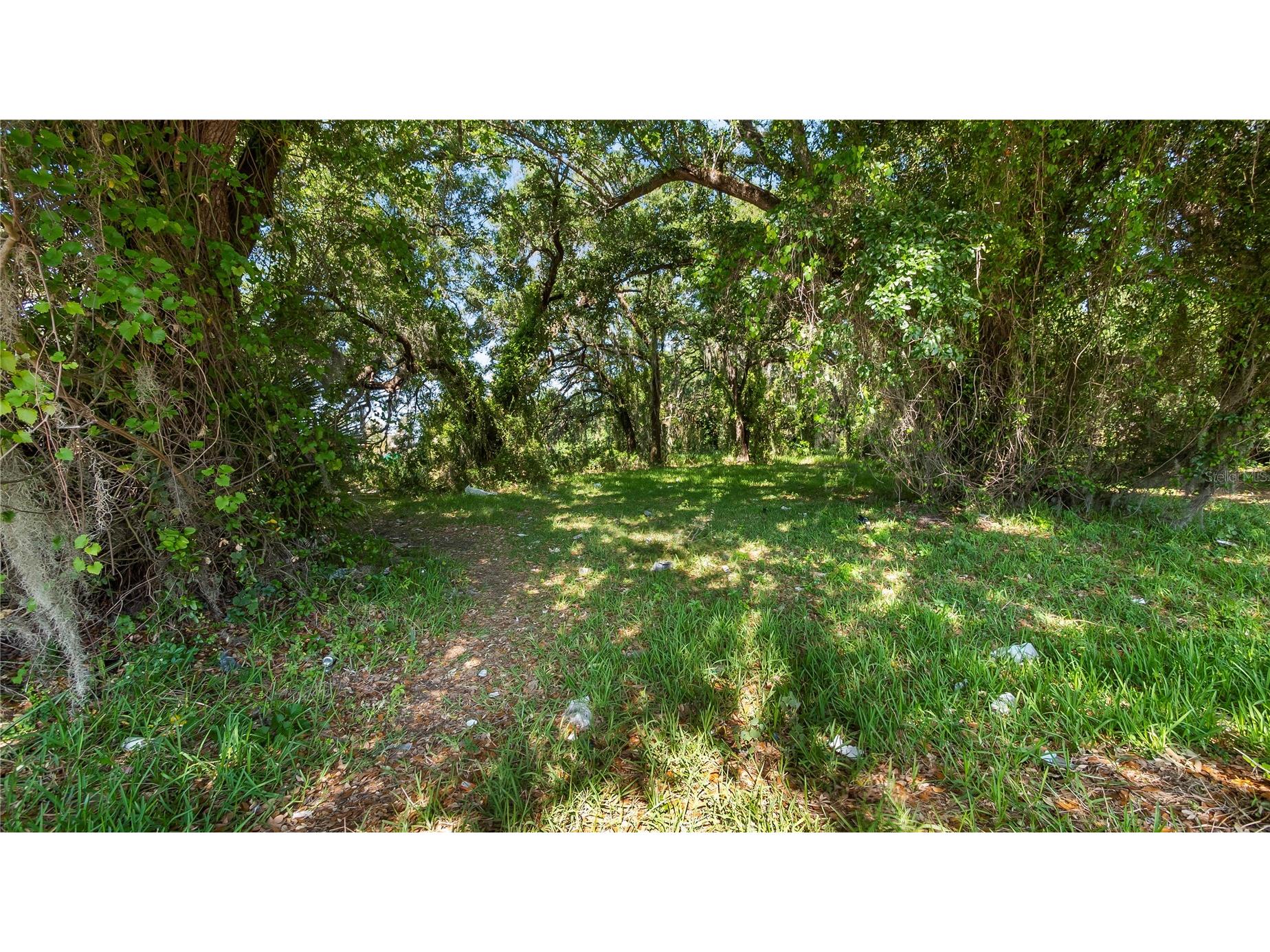 1500 N Hoagland Boulevard Kissimmee FL 34741 O6386758 image41