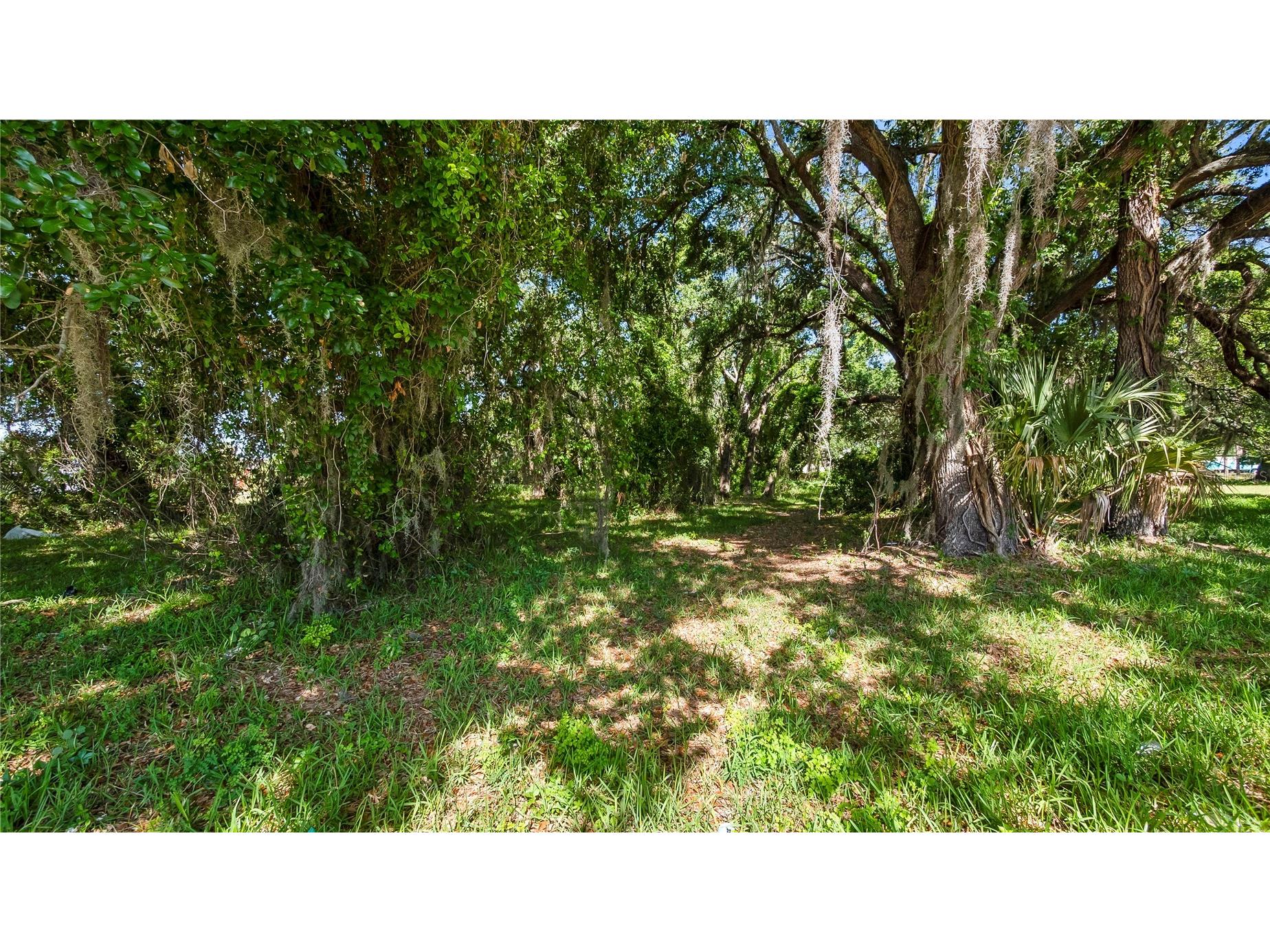 1500 N Hoagland Boulevard Kissimmee FL 34741 O6386758 image42
