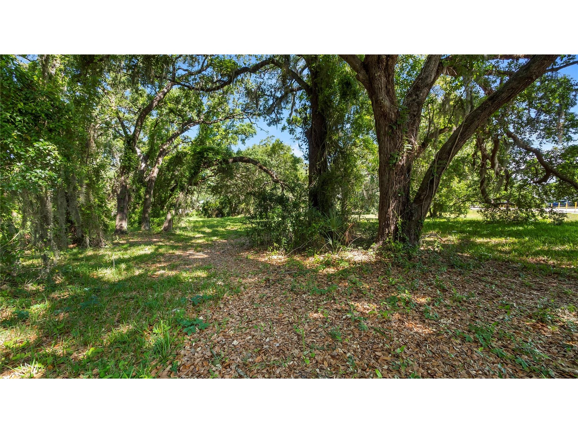 1500 N Hoagland Boulevard Kissimmee FL 34741 O6386758 image44