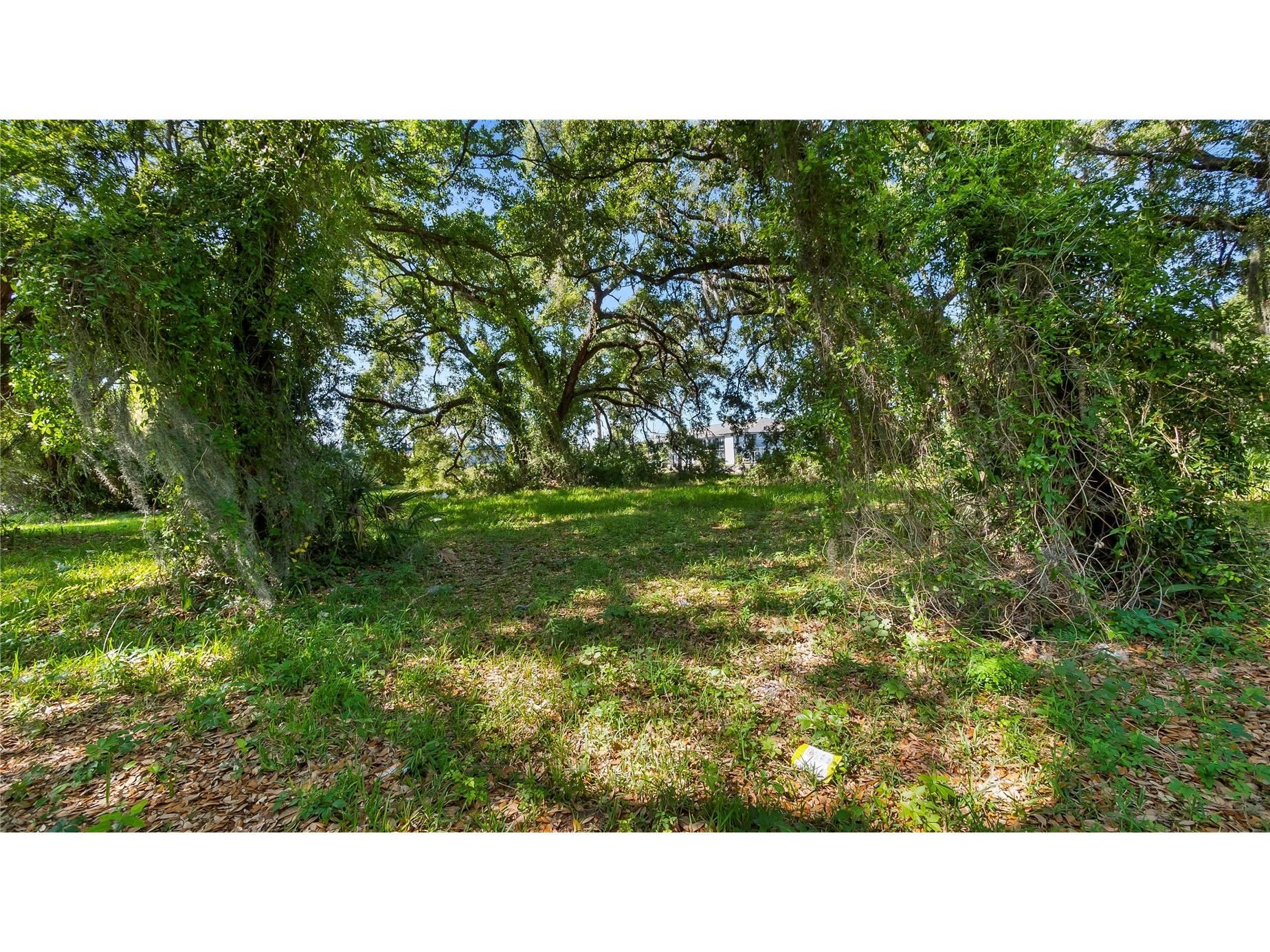 1500 N Hoagland Boulevard Kissimmee FL 34741 O6386758 image45