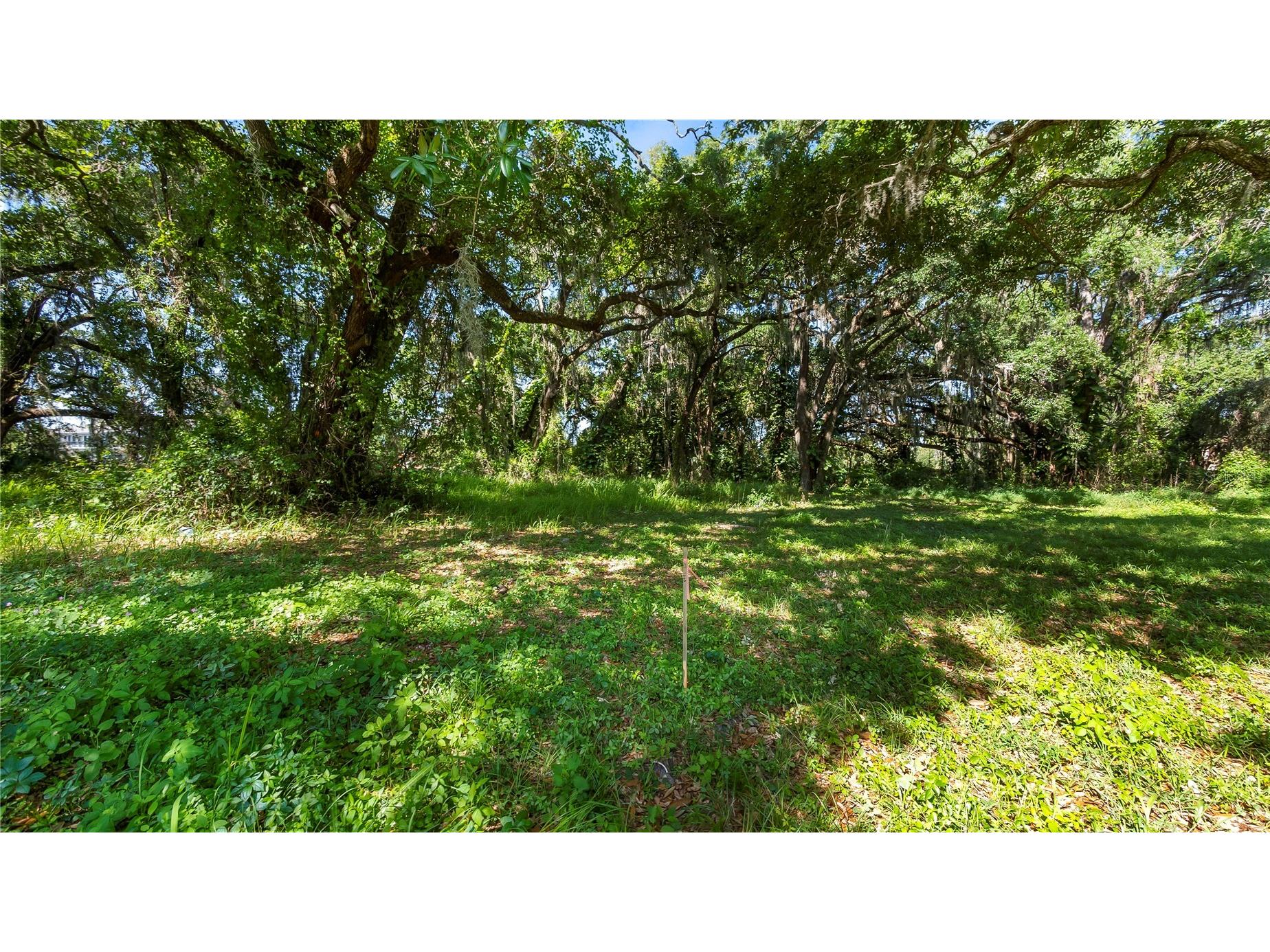 1500 N Hoagland Boulevard Kissimmee FL 34741 O6386758 image47