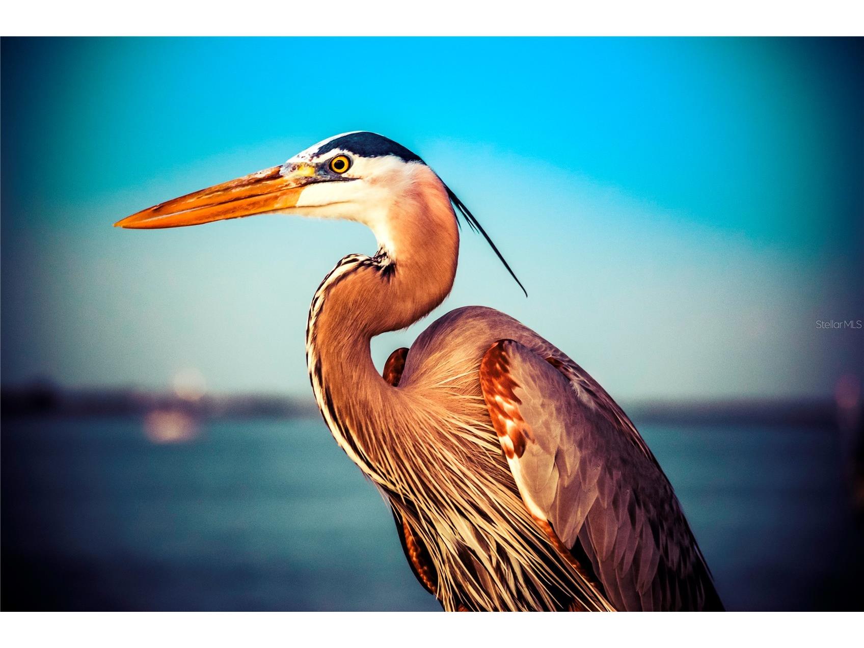 1500 Park Beach Circle #5G Punta Gorda FL 33950 - CHARLOTTE HARBOR C7523529 image48