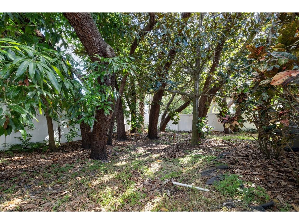 1500 Poinsettia Avenue Tarpon Springs FL 34689 TB8431507 image37