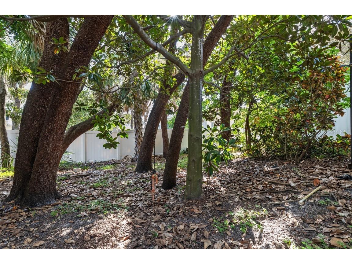 1500 Poinsettia Avenue Tarpon Springs FL 34689 TB8431507 image38