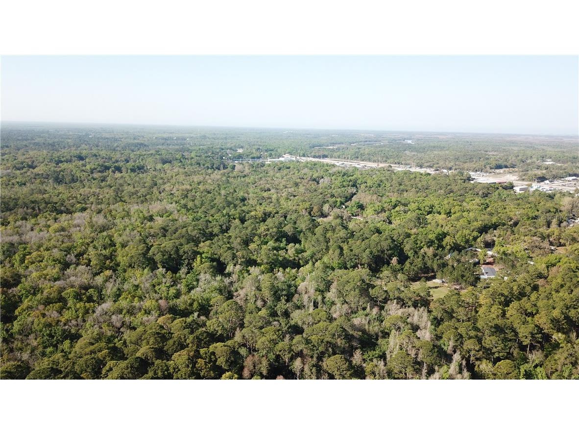 1500 S Candlenut & 1627 S Palm Avenue Homosassa FL 34448 W7832093 image10