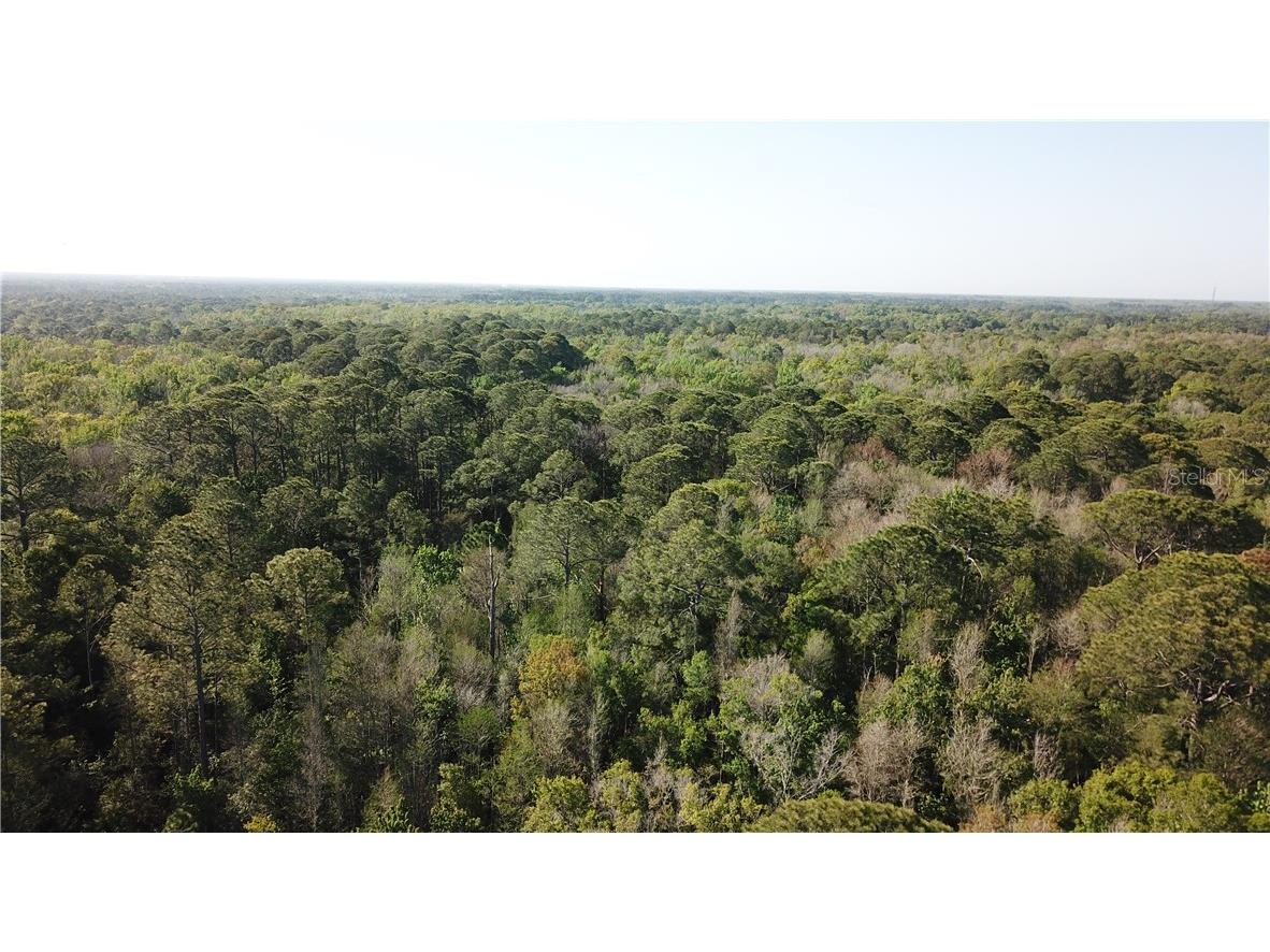 1500 S Candlenut & 1627 S Palm Avenue Homosassa FL 34448 W7832093 image11