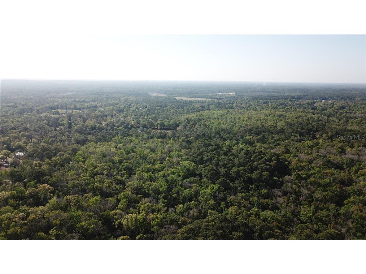 1500 S Candlenut & 1627 S Palm Avenue Homosassa FL 34448 W7832093 image12