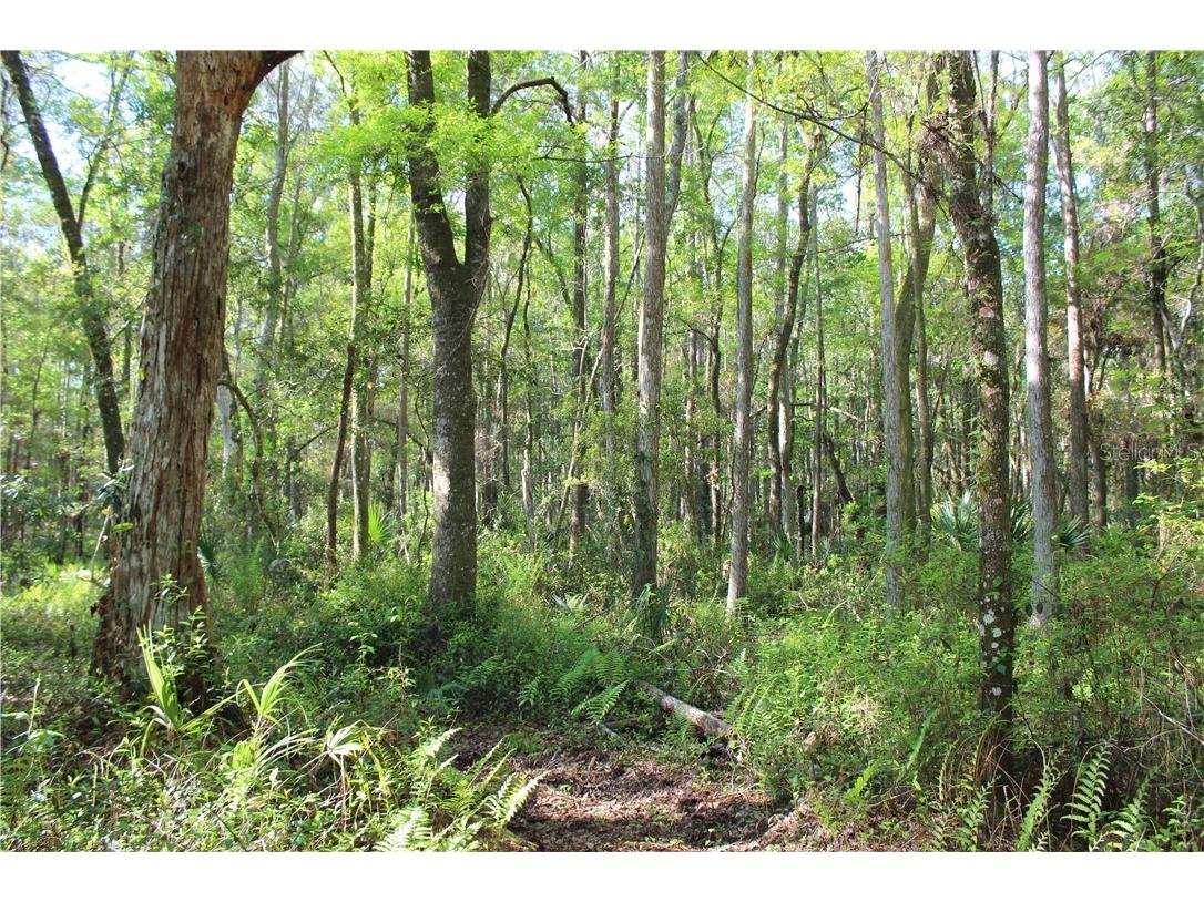 1500 S Candlenut & 1627 S Palm Avenue Homosassa FL 34448 W7832093 image3