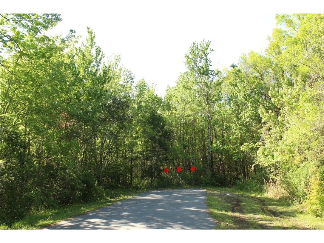 1500 S Candlenut & 1627 S Palm Avenue Homosassa FL 34448 W7832093 image6