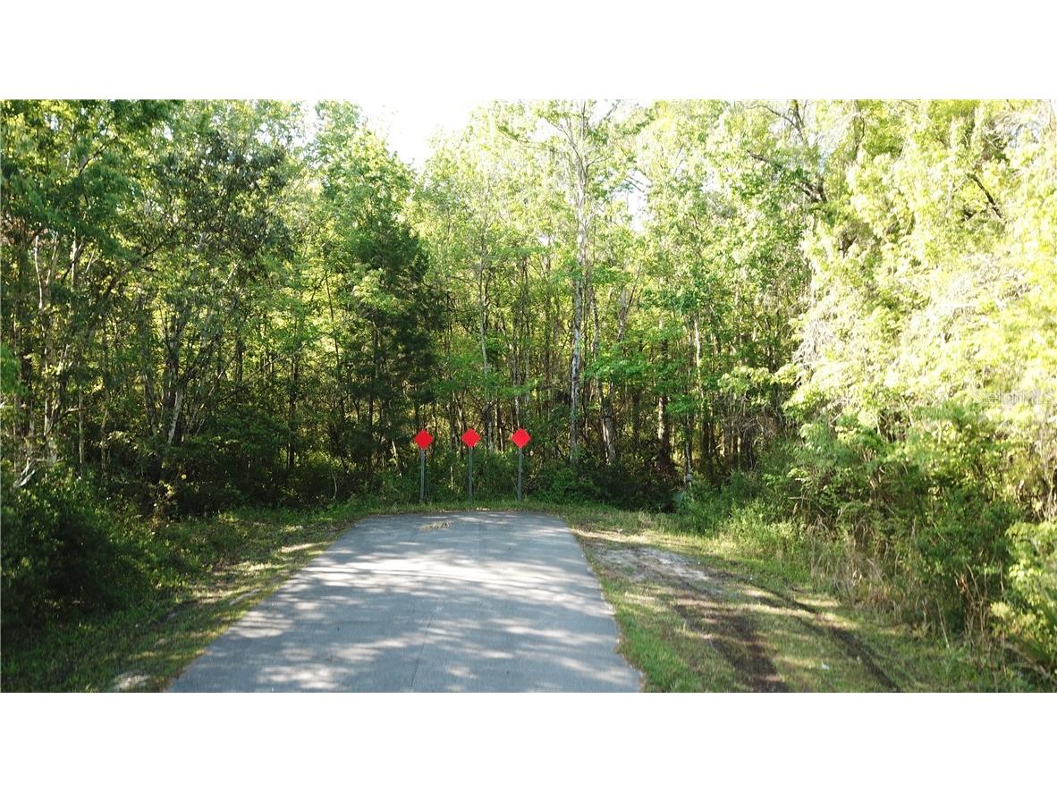 1500 S Candlenut & 1627 S Palm Avenue Homosassa FL 34448 W7832093 image7