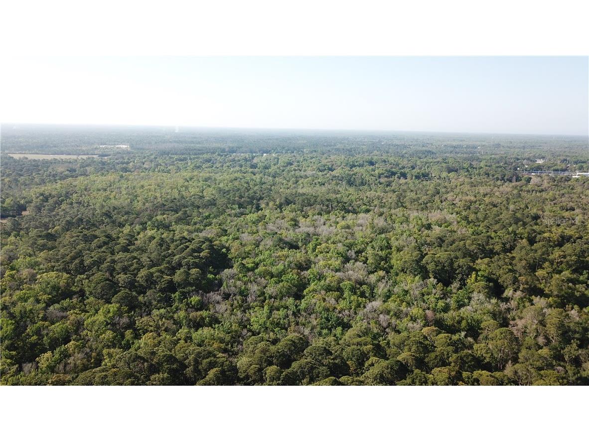 1500 S Candlenut & 1627 S Palm Avenue Homosassa FL 34448 W7832093 image9