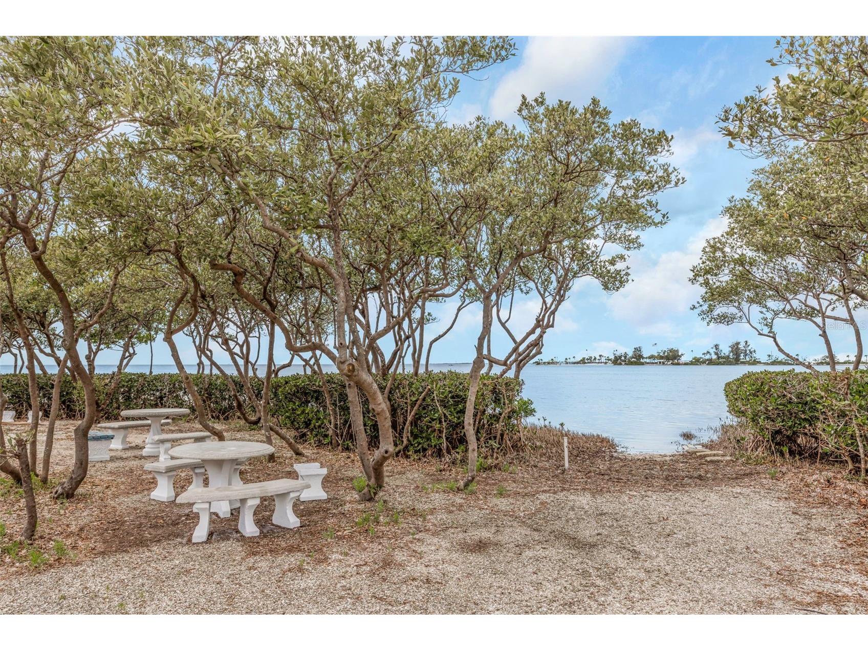 1500 Sunset Road #F7 Tarpon Springs FL 34689 - SAINT JOSEPH SOUND TO THE GULF W7884710 image35
