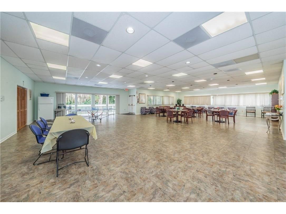 1500 Sunset Road #G2 Tarpon Springs FL 34689 - SAINT JOSEPH SOUND TO THE GULF TB8433048 image29