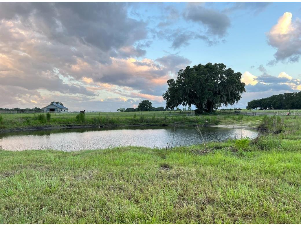 1500 SW 210th Avenue #BARN Dunnellon FL 34431 C7509611 image10