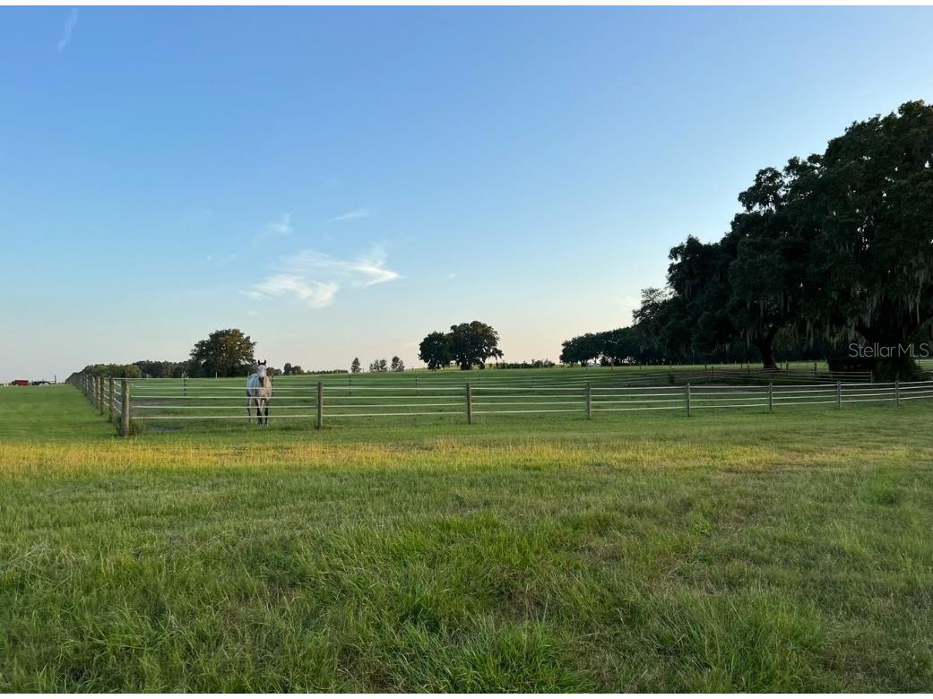 1500 SW 210th Avenue #BARN Dunnellon FL 34431 C7509611 image12