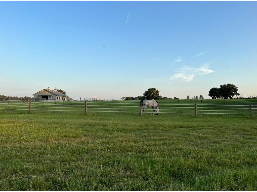 1500 SW 210th Avenue #BARN Dunnellon FL 34431 C7509611 image13