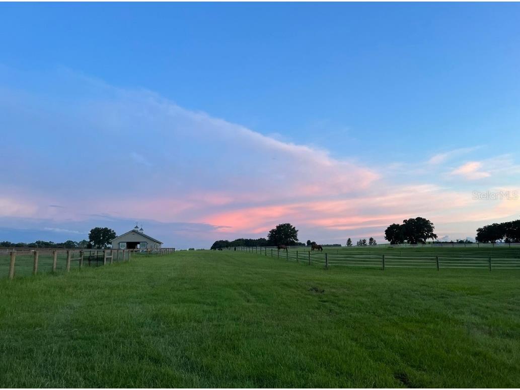 1500 SW 210th Avenue #BARN Dunnellon FL 34431 C7509611 image14