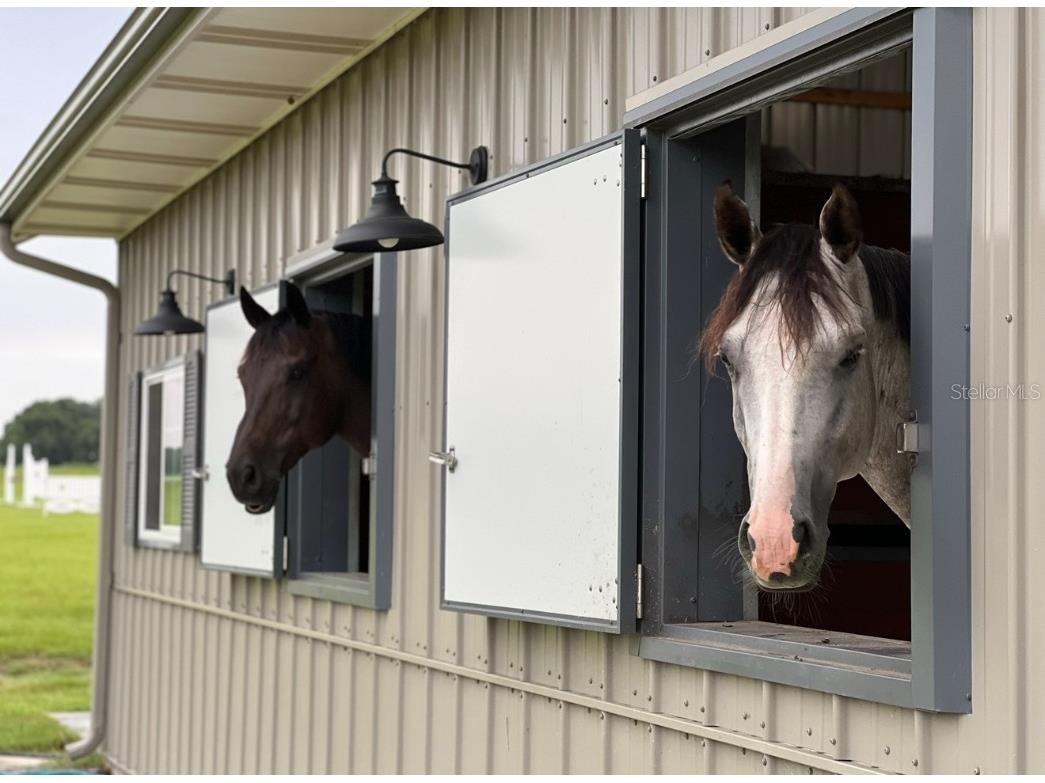 1500 SW 210th Avenue #BARN Dunnellon FL 34431 C7509611 image15