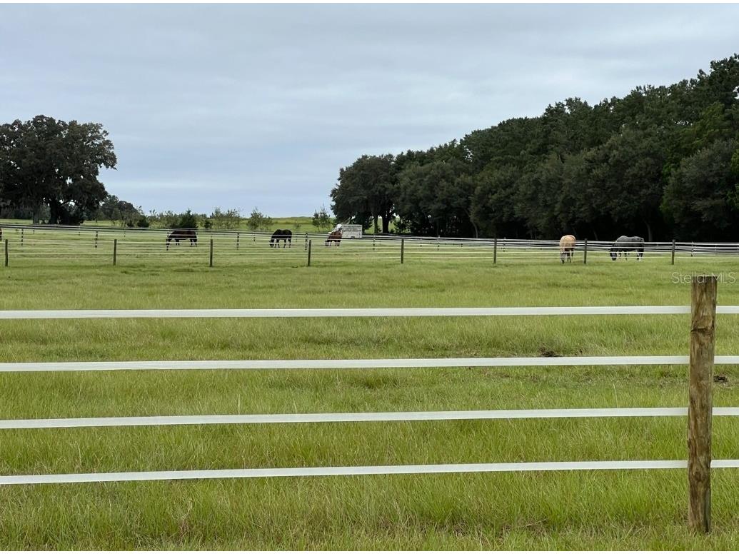 1500 SW 210th Avenue #BARN Dunnellon FL 34431 C7509611 image16