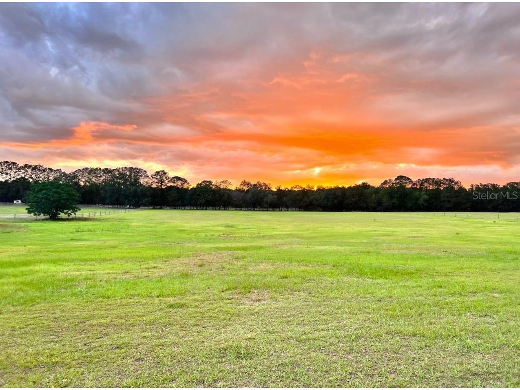 1500 SW 210th Avenue #BARN Dunnellon FL 34431 C7509611 image18