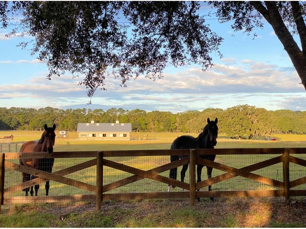1500 SW 210th Avenue #BARN Dunnellon FL 34431 C7509611 image2