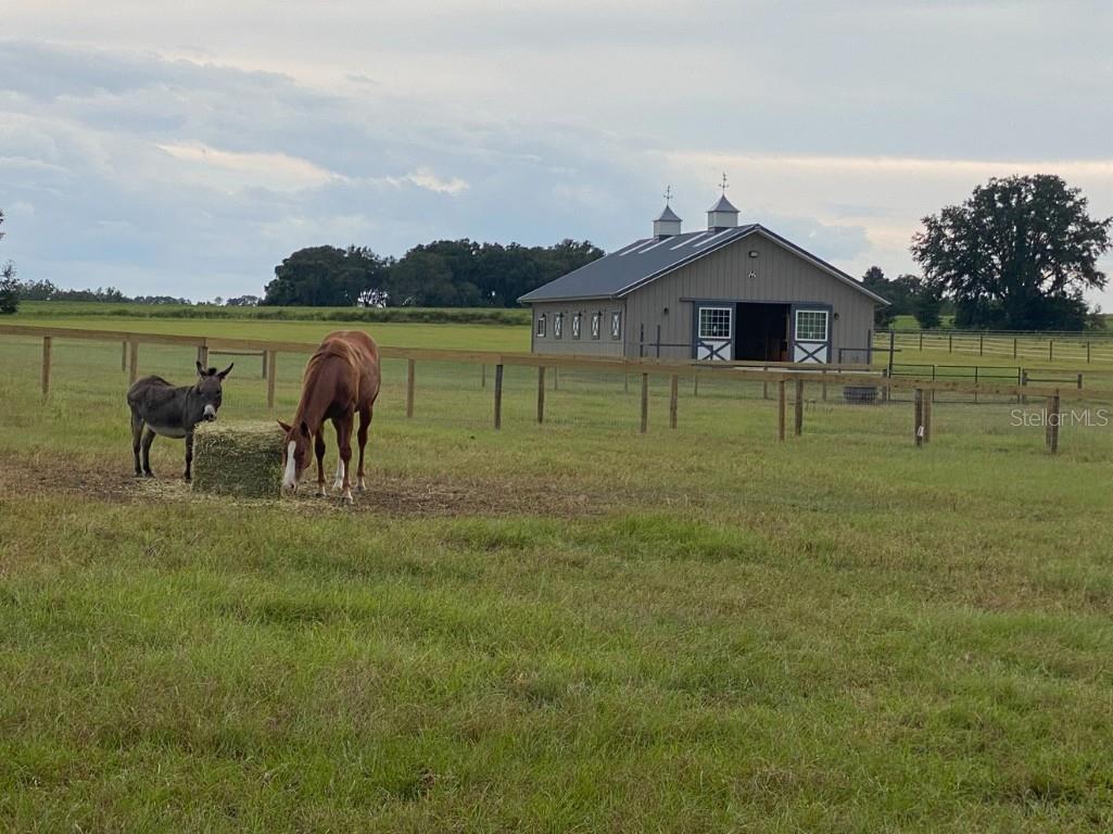 1500 SW 210th Avenue #BARN Dunnellon FL 34431 C7509611 image9