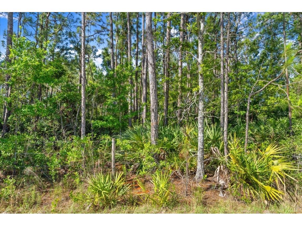 1500 Town West Boulevard Port Orange FL 32128 O6308195 image21