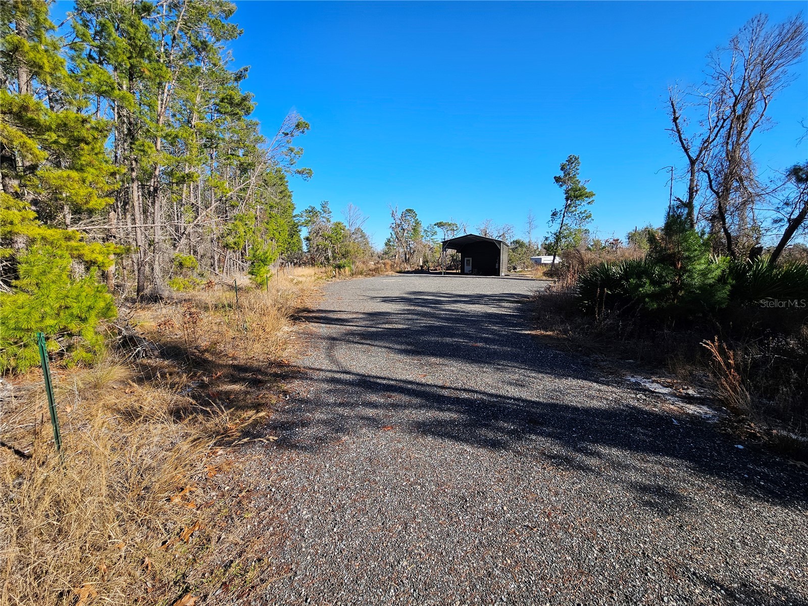 15000 Fiddlers Way Perry FL 32348 A4692834 image5