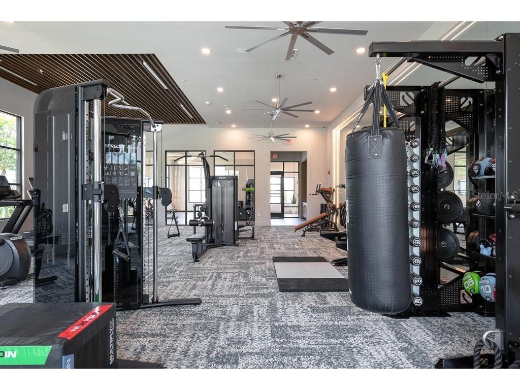 15000 Stratus Loop #B1 Winter Garden FL 34787 O6308743 image7