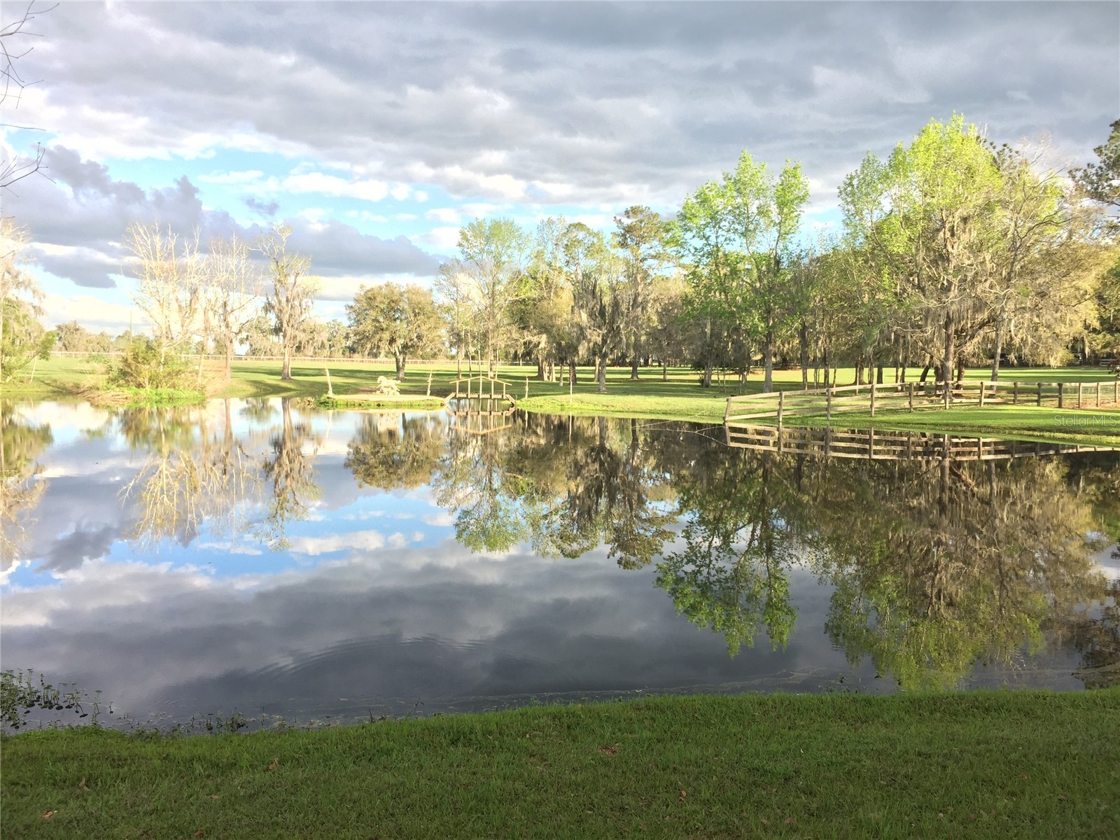 15000 W Hwy 318 Williston FL 32696 OM716965 image2