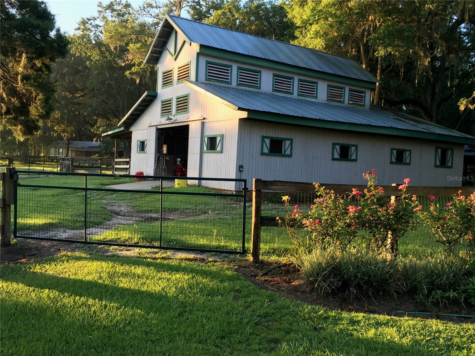 15000 W Hwy 318 Williston FL 32696 OM716965 image49