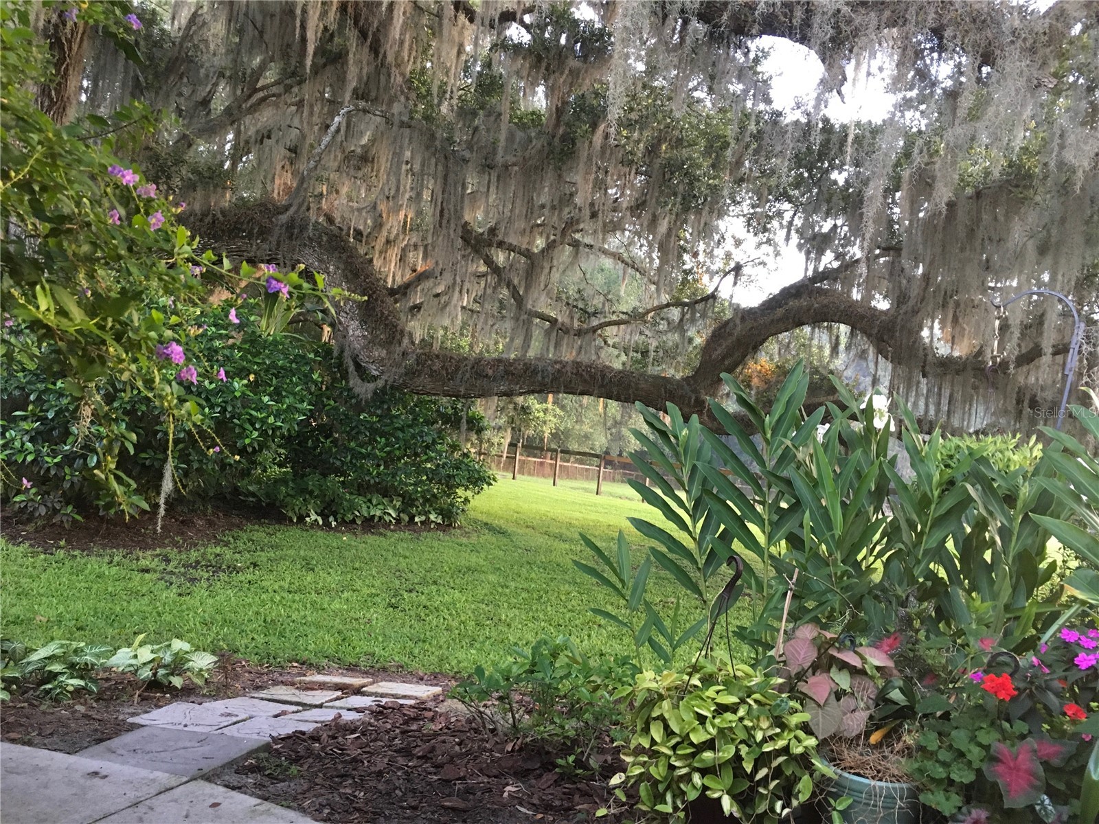 15000 W Hwy 318 Williston FL 32696 OM716965 image58