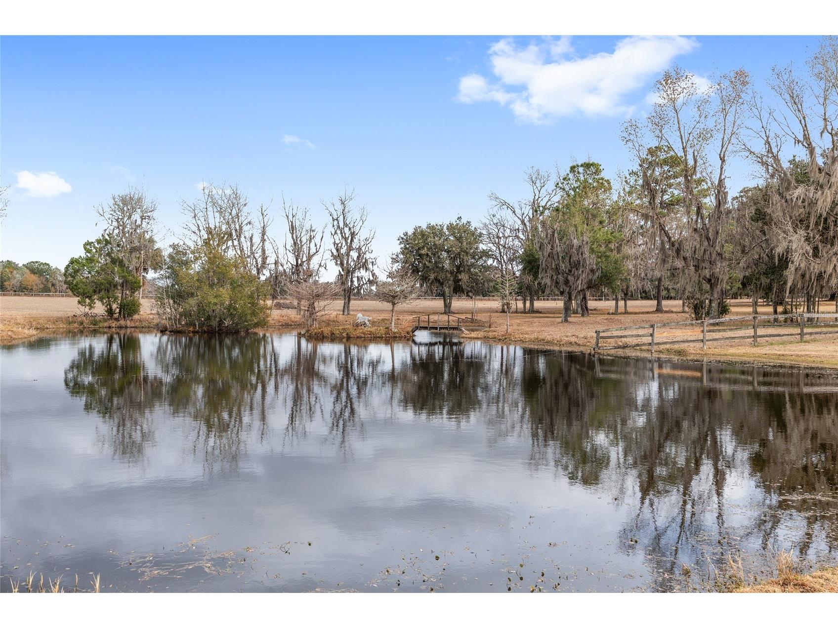 15000 W Hwy 318 Williston FL 32696 OM716965 image60