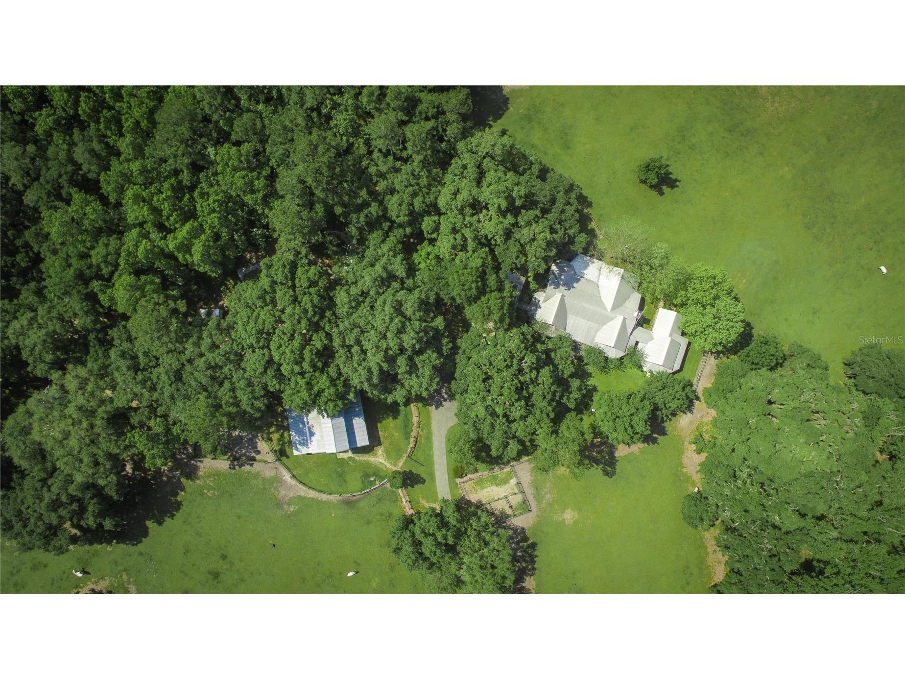 15000 W Hwy 318 Williston FL 32696 OM716965 image69